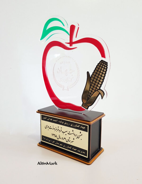 سفارش ساخت تندیس | تندیس شیشه ای | تندیس از جنس چوبی و پلکسی گلس