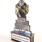 سفارش ساخت تندیس | تندیس شیشه ای | تندیس از جنس چوبی و پلکسی گلس